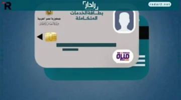 كارت متكامل 2025.. دليل شامل للاستعلام بالرقم القومي بكل سهولة